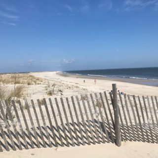 beach dunes and fence at Delaware beach