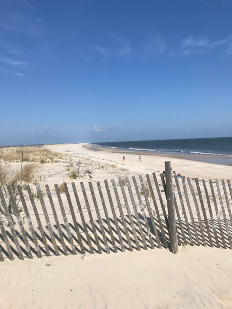 beach dunes and fence at Delaware beach