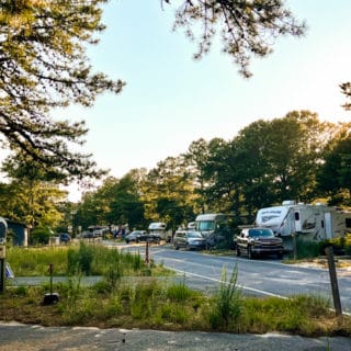 rvs in a line with trees at Cape Henlopen State Park Campground