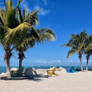 a photo of the beach in Marathon FL looking out on the gulf of Mexico flanked by 4 palm trees with 3 Adirondack chairs on the beach