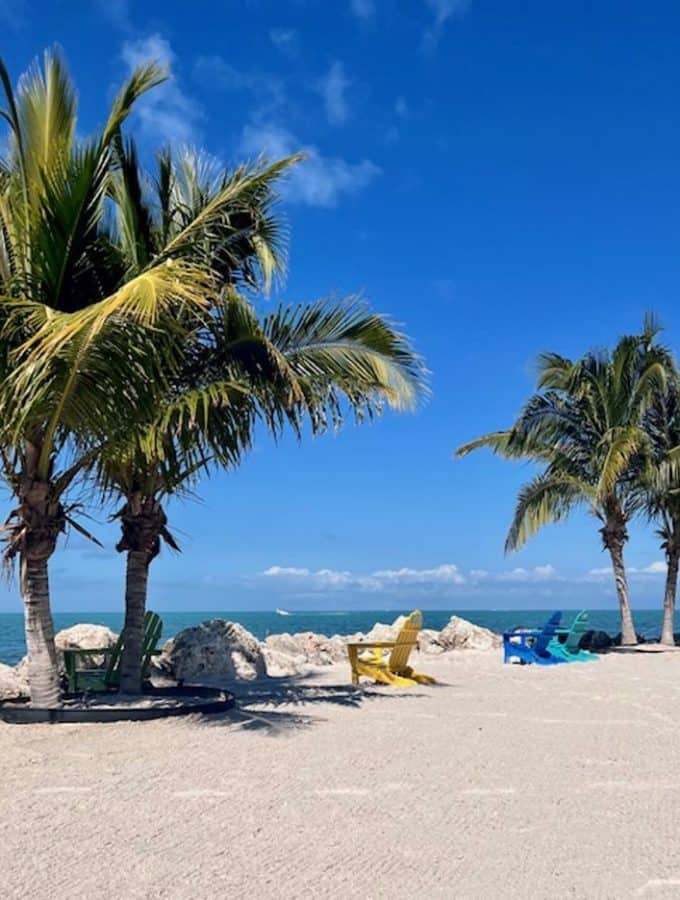 a photo of the beach in Marathon FL looking out on the gulf of Mexico flanked by 4 palm trees with 3 Adirondack chairs on the beach