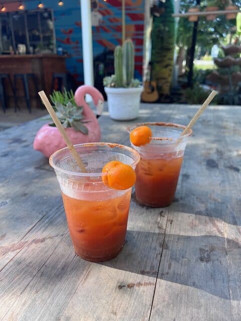 image of two bloody marys with garnishes
