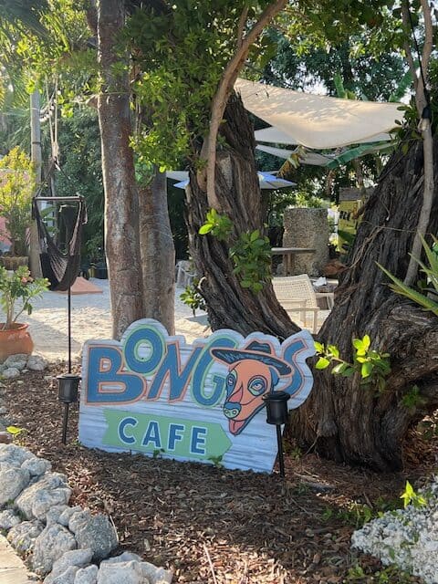 View of Bongos Cafe sign