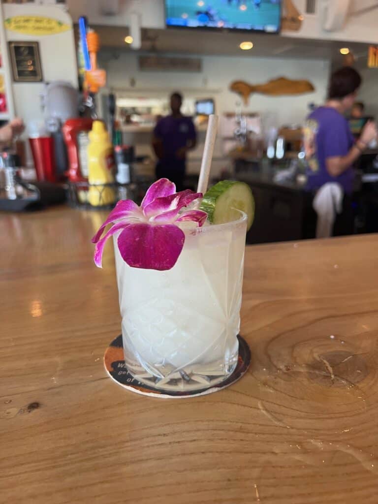 Cocktail with a flower from the Beachcomber in St. Augustine